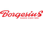 logo-borgesius-small